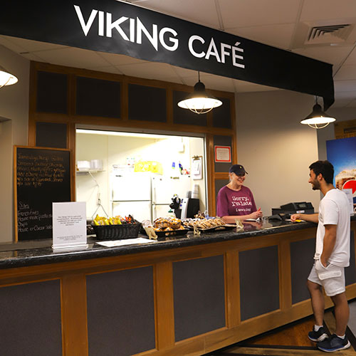 THE VIKING CAFÉ