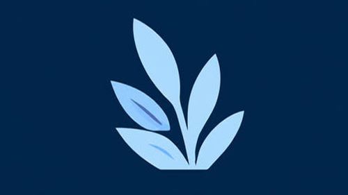 Suicide & Crisis Lifeline